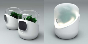 Air Purifier Buying Mistakes That Can Prove Too Costly For The Buyers