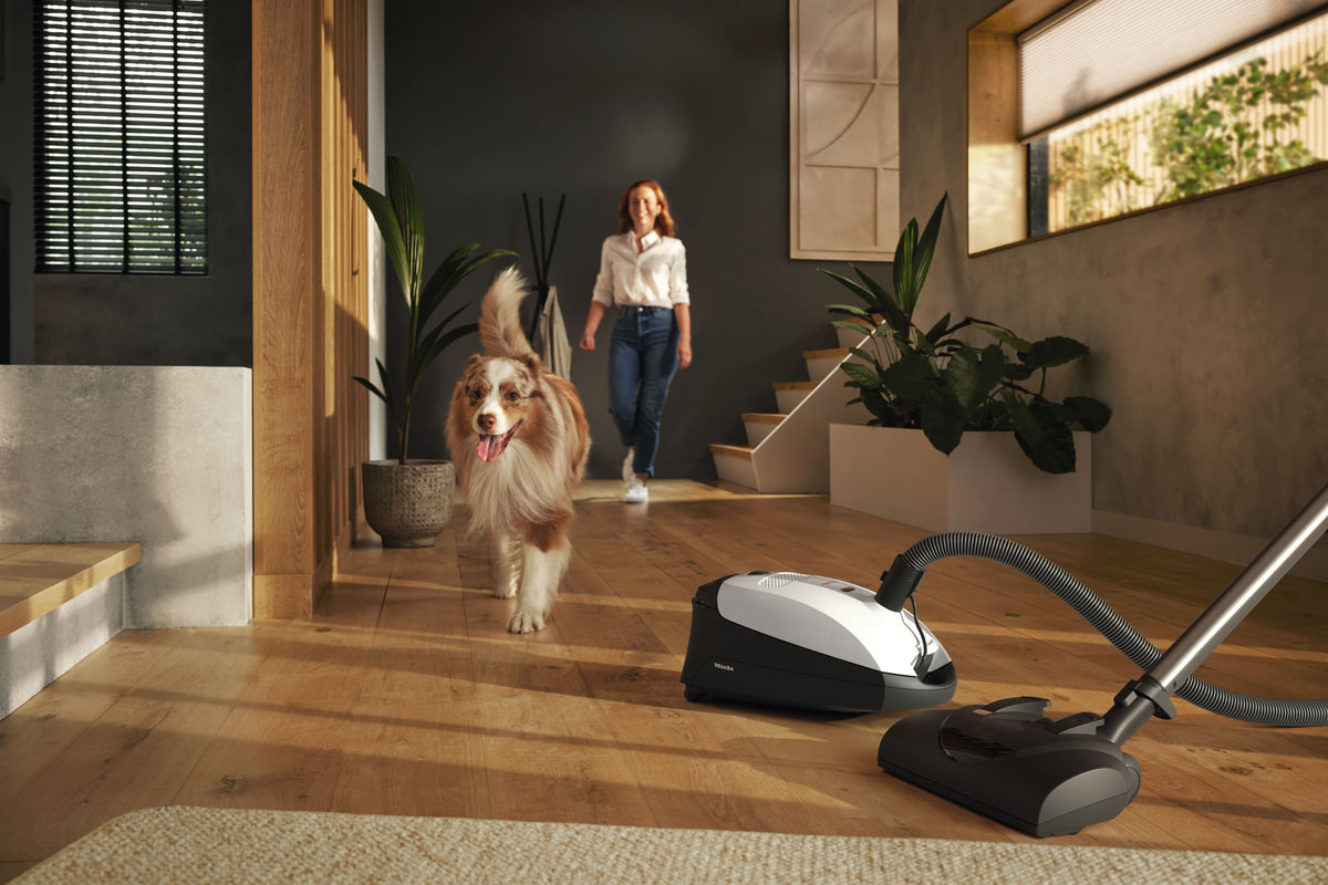 Miele Classic C1 Cat & Dog Canister Vacuum Cleaner Part 41BBN031USA