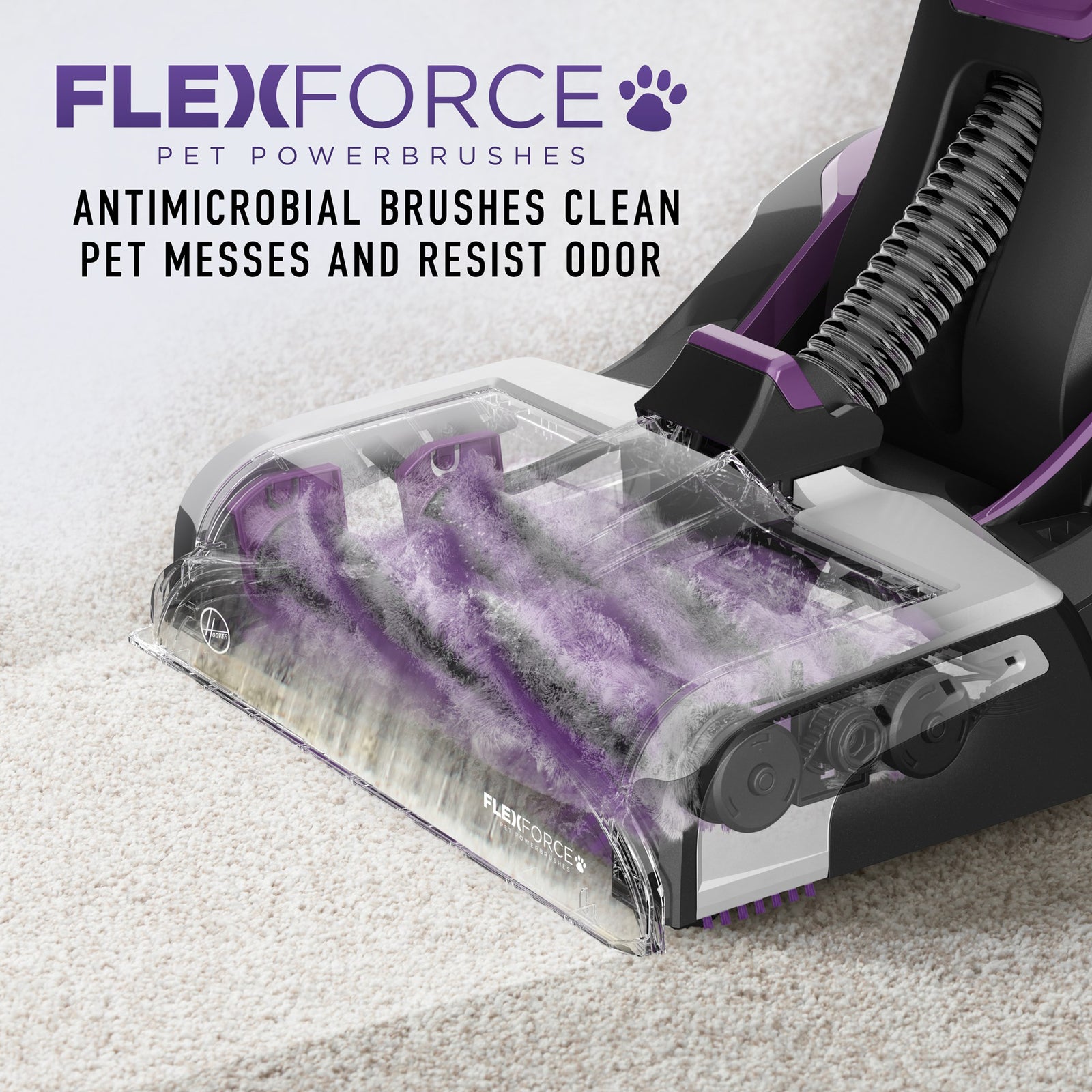 Hoover Steam Vac/ Extractor, Smartwash Pet Full Kit FH53000