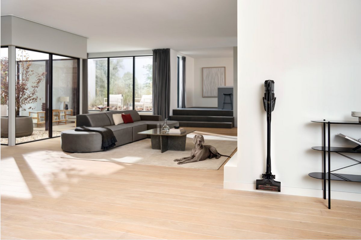 Modern living room with a dog lying on the floor, large windows, and a vacuum cleaner.