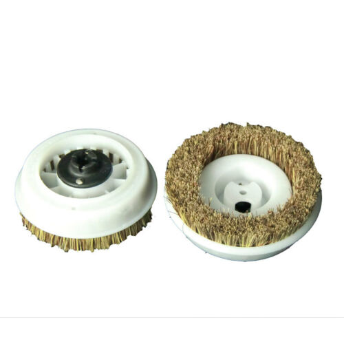 Cepillo para fregar Regina de Koblenz, diámetro de 6", apto para la mayoría de pulidoras de 12", juego de 2, pieza n.º 4501342 