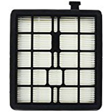 Dirt Devil OEM Type F45 HEPA Filter SD40000 & SD40010 Canister Part 2KQ0107000