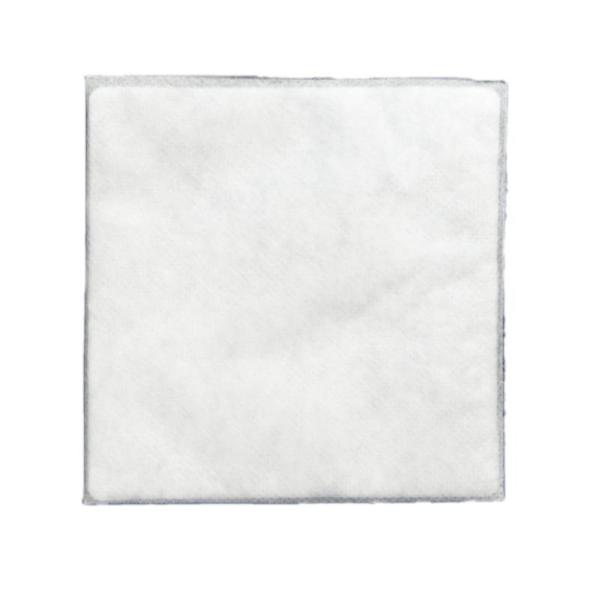 Hoover Secondary Vacuum Filter, 2pk Part 40110011