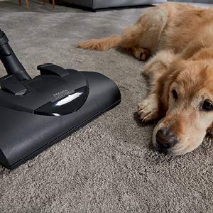 Aspiradora de bote Miele Compact C2 Electro + PowerLine azul marino SKU 41DCE035USA