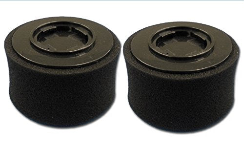 PowerEdge Replacement Vacuum Filter (Pack of 2)