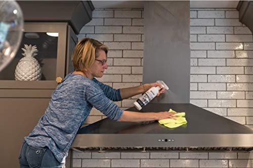 Limpiador y protector de acero inoxidable de alto rendimiento Bayes - 16 oz