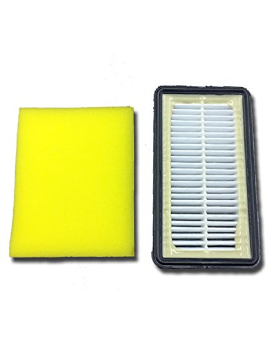 Juego de filtros de repuesto Bissell para aspiradoras verticales de la serie Cleanview de Bissell, 1 filtro HEPA y 1 filtro de espuma, pieza F956