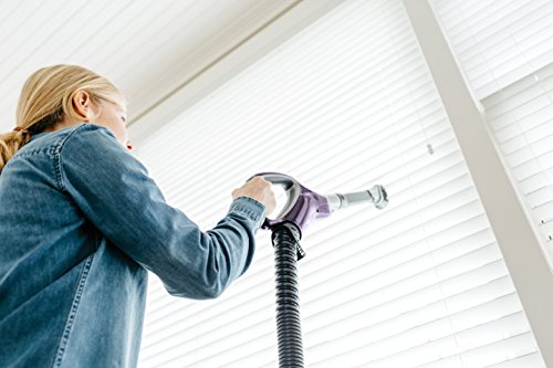 SharkNinja Rotator Powered Lift Away Vacuum, Rose Metal NV751