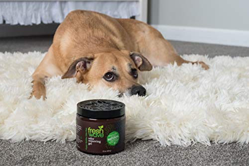 Gel eliminador de olores Fresh Wave, 15 oz. - Paquete de 2 unidades de valor especial SKU 024