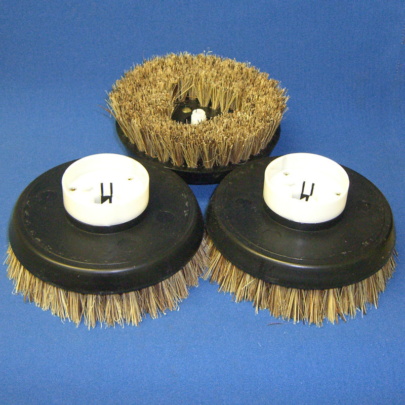 Electrolux Hard Bristle Brushes for EX-20/Lux Shampooer, Set of 3, Part LUX-42827