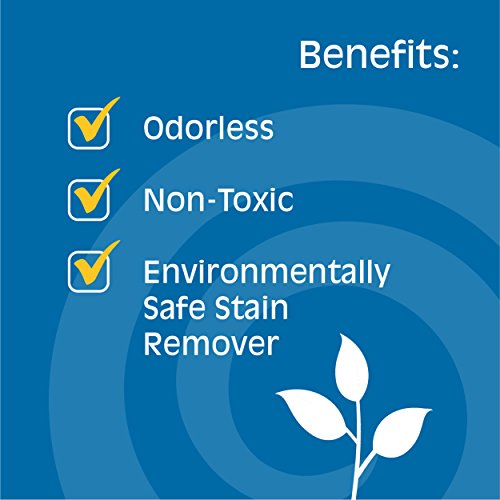 Gonzo Natural Magic Stain Remover - Non-Toxic Carpet Clothing Sweat Wine Blood Laundry Stain Remover and Cleaner - 8 Fluid Ounces