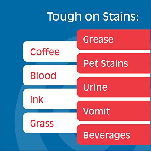 Gonzo Natural Magic Stain Remover - Non-Toxic Carpet Clothing Sweat Wine Blood Laundry Stain Remover and Cleaner - 8 Fluid Ounces