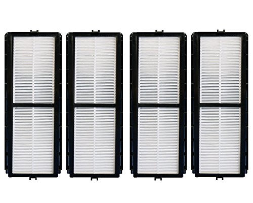 Dirt Devil Vision Pleated w/activated Charcoal True HEPA Style Vacuum Filter Part 963, F963