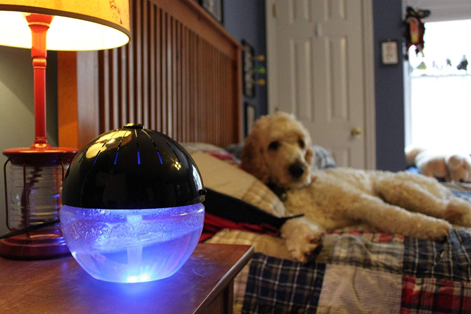 EcoGecko Earth Globe- Glowing Water Air Cleaner and Revitalizer with Lavender Oil, Black, Part 75606-BLACK