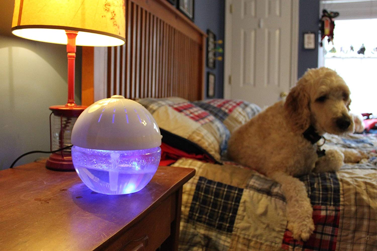 EcoGecko Earth Globe- Glowing Water Air Cleaner and Revitalizer with Lavender Oil, White, Part 75606-WHITE