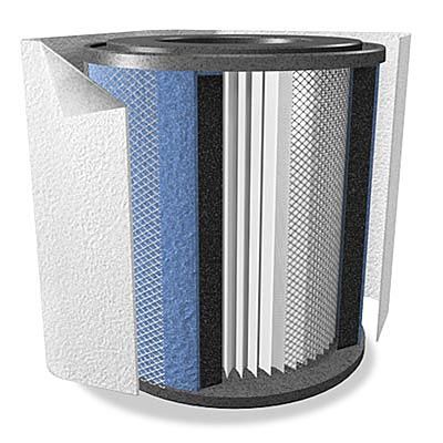 Filtro Austin Air HealthMate Junior, pieza FR200